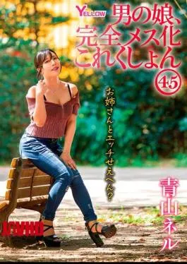 English Sub HERY-154 Boy’s Daughter, Complete Feminization Collection 45 Aoyama Neru